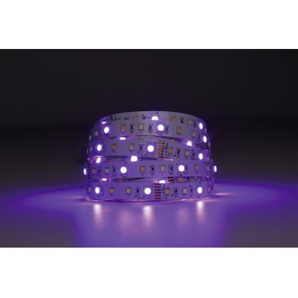 Eglo - LED RGBW ściemnialna taśma 5m LED/11W/12/230V 2700-6500K ZigBee