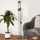 Eglo - Lampa stojąca 2xE14/8W/230V zielona