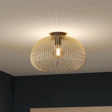 Eglo - Lampa sufitowa 1xE27/40W/230V