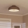 Eglo - Lampa sufitowa 1xE27/60W/230V