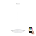 Eglo - Lampa sufitowa LED RGB ściemnialna na linkach MONEVA-C LED/18W/230V