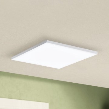 Eglo - LED Lampa sufitowa LED/10,8W/230V