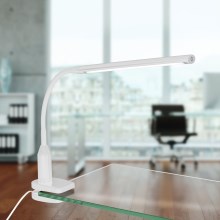 Eglo - LED Lampa z klipsem LED/4,5W/230V biały