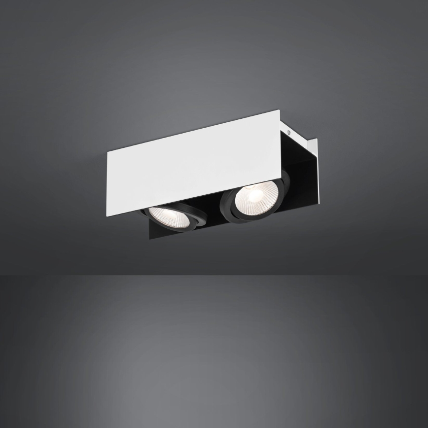 Eglo - LED Oświetlenie punktowe ściemnialne 2xLED/5,4W/230V
