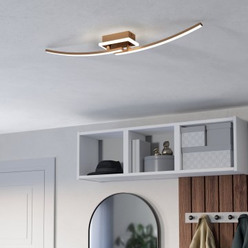 Eglo - LED Plafon LED/12W/230V 4000K miedź