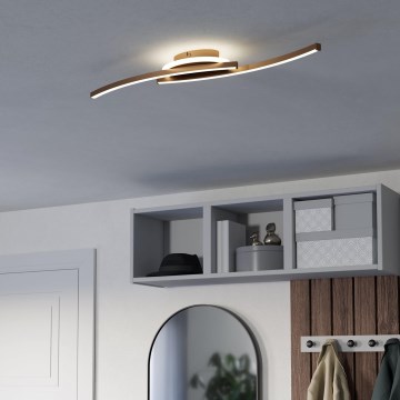 Eglo - LED Plafon LED/12W/230V 4000K miedź