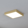 Eglo - LED Plafon LED/17W/230V