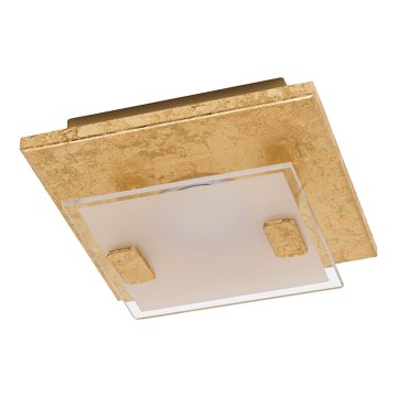 Eglo - LED Plafon LED/2,5W/230V