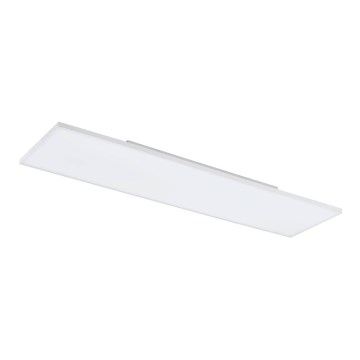 Eglo - LED Plafon LED/31,5W/230V