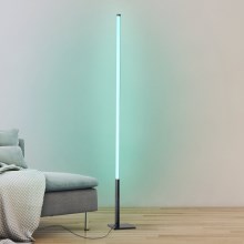 Eglo - LED RGB Ściemnialna lampa podłogowa LED/13,5W/230V 2700-6500K + pilot
