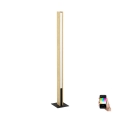 Eglo - LED RGBW Lampa podłogowa ściemnialna LED/35W/230V 2700-6500K