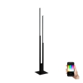 Eglo - LED RGBW Regulowana lampa stojąca 2xLED/16W/230V czarna ZigBee