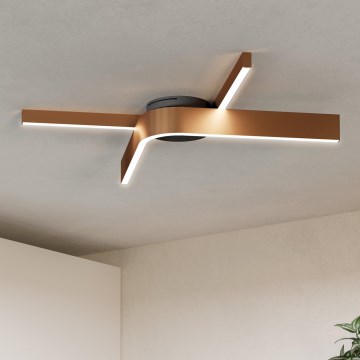 Eglo - LED RGBW Ściemnialna oprawa sufitowa 2xLED/18W/230V miedziana/czarna