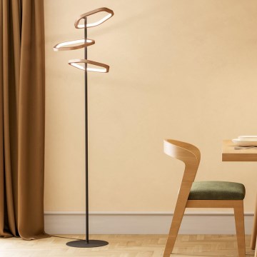 Eglo - LED Ściemnialna lampa stojąca LED/20W/230V mosiądz