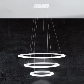 Eglo - LED ściemnialny żyrandol na przewodzie LED/45W/230V + LED/33W + LED/19,5W