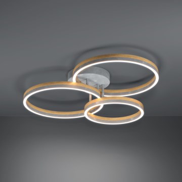 Eglo - LED Ściemnialny żyrandol natynkowy LED/12,5W/230V + 2xLED/15,5W 3000K szary/dąb