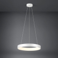 Eglo  - LED Ściemniany żyrandol na lince LED/34W/230V