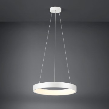 Eglo  - LED Ściemniany żyrandol na lince LED/34W/230V