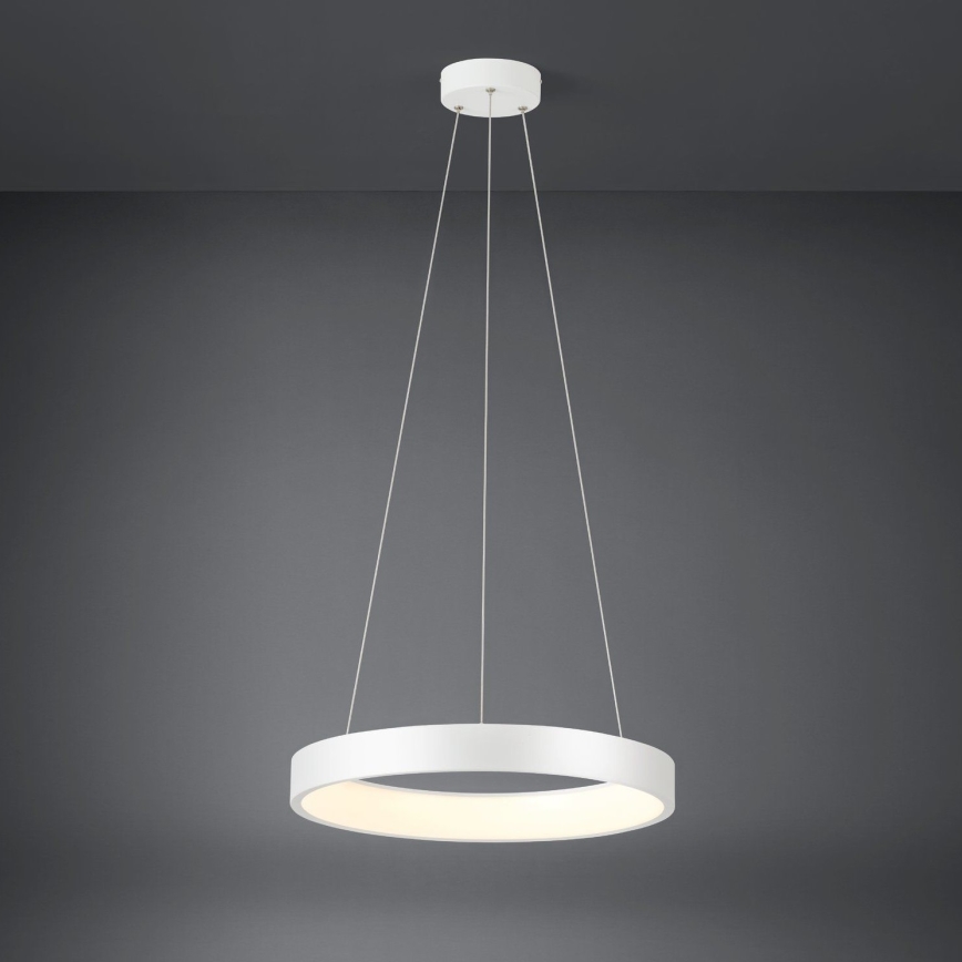 Eglo  - LED Ściemniany żyrandol na lince LED/34W/230V