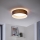Eglo - LED sufitowa lampa 1xLED/12W/230V