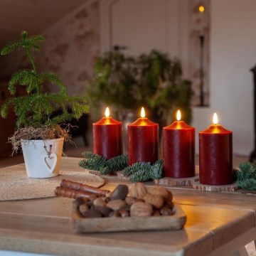 Eglo - LED Świąteczna dekoracja LED/0,03W/2xAA