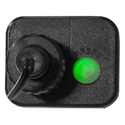 Eglo 472-53 - LED Zewnętrzny łańcuch bożonarodzeniowy BERRY MINI 700xLED/8 funkcji 14m wielobarwny IP44
