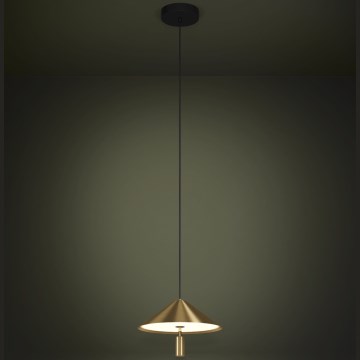 Eglo - LED Żyrandol na lince LED/12W/230V 3000K złoty