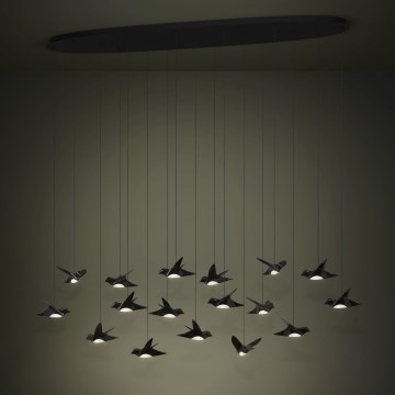 Eglo - LED Żyrandol ściemnialny na lince 17xLED/3W/230V 3000K czarny