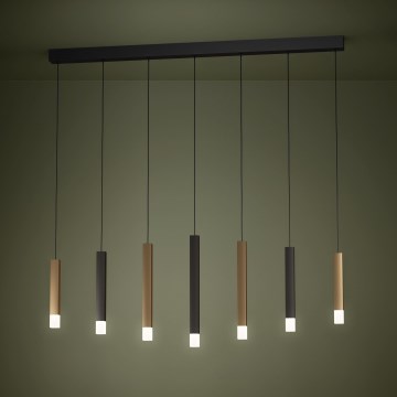 Eglo - LED Żyrandol ściemnialny na lince 7xLED/3,1W/230V 3000K antracyt/złoty