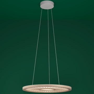 Eglo - LED Żyrandol ściemnialny na lince LED/36W/230V 4000K beżowy