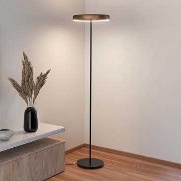 Eglo - ściemnialna lampa podłogowa z czujnikiem ruchu 2xLED/19W/230V 2200-6500K brązowa