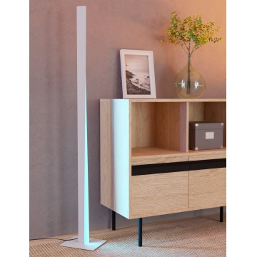 Eglo - Ściemnialna lampa stojąca LED RGBW LED/10,5W/230V + LED/15,2W szara