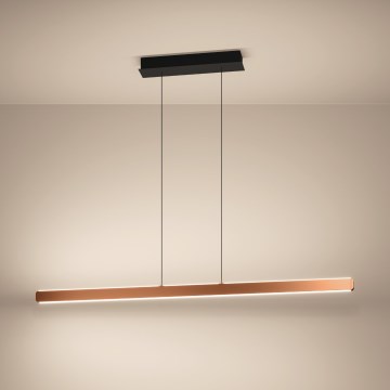 Eglo Stars of Light - LED ściemnialny żyrandol na lince LED/30W/230V 2200-6500K złoty + pilot zdalnego sterowania