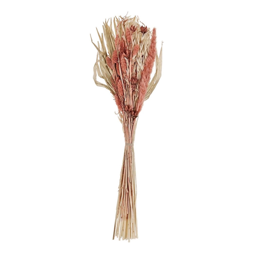 Eglo - Suszony bukiet 60 cm pomarańczowy