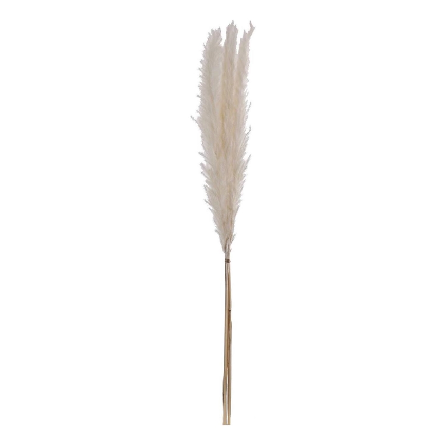Eglo - Suszony bukiet 70 cm biały