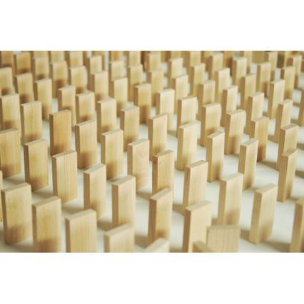 EkoToys - Drewniane domino 830 szt buk