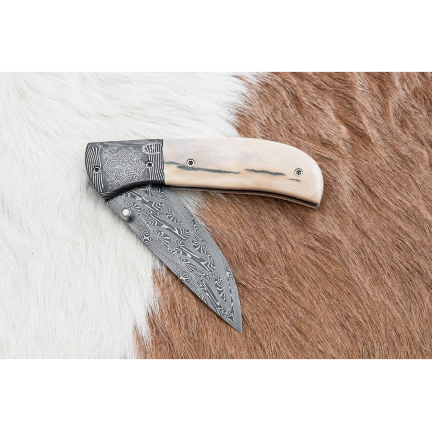 Ekskluzywny składany nóż damasceński 8,6 cm mamuci kieł