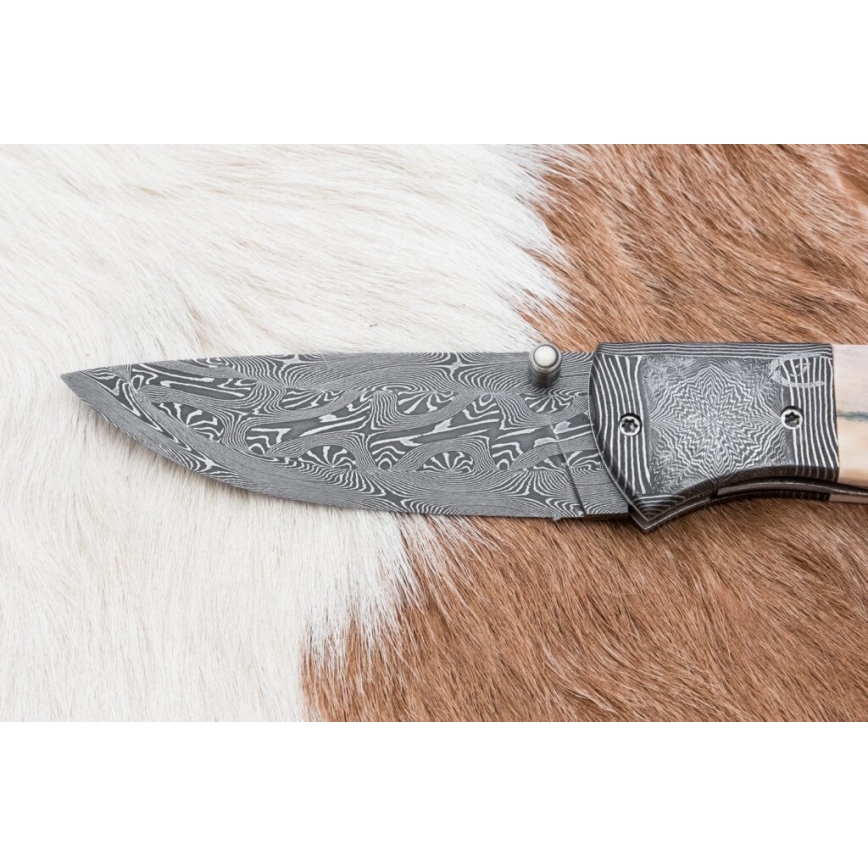 Ekskluzywny składany nóż damasceński 8,6 cm mamuci kieł