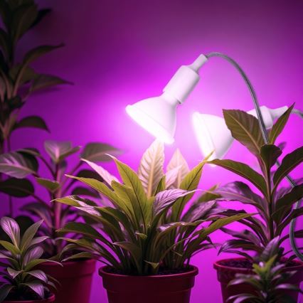 Elastyczna Lampa stołowa z klipsem do uprawy roślin PLANTY 2xE27/30W/230V biała
