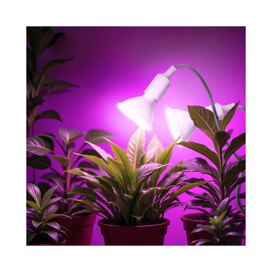 Elastyczna Lampa stołowa z klipsem do uprawy roślin PLANTY 2xE27/30W/230V biała