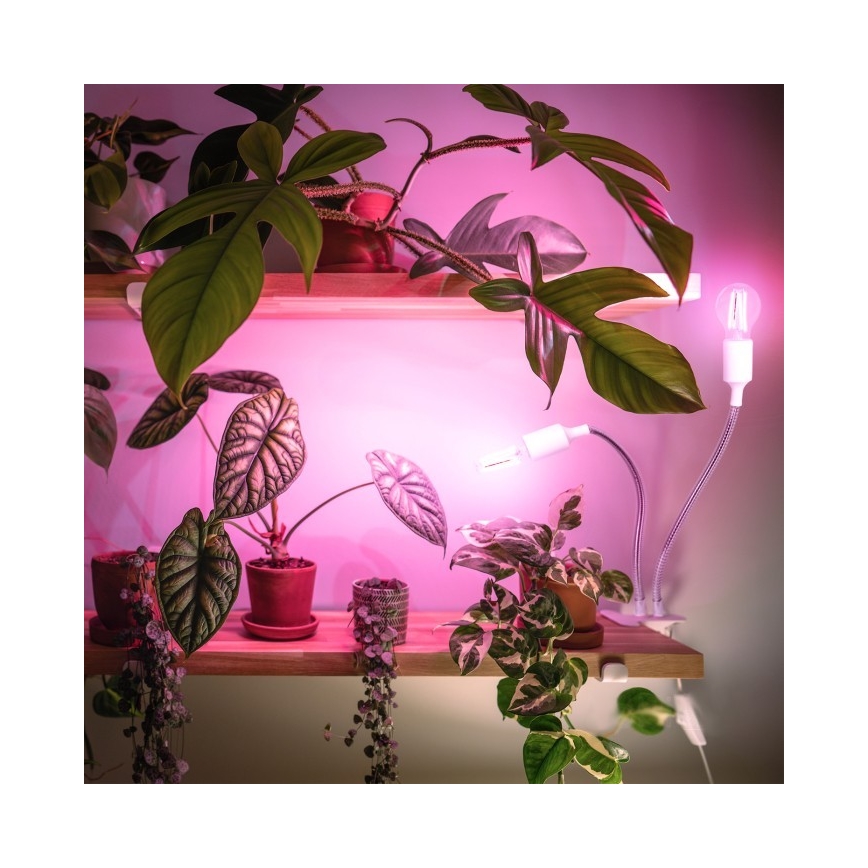 Elastyczna Lampa stołowa z klipsem do uprawy roślin PLANTY 2xE27/30W/230V biała