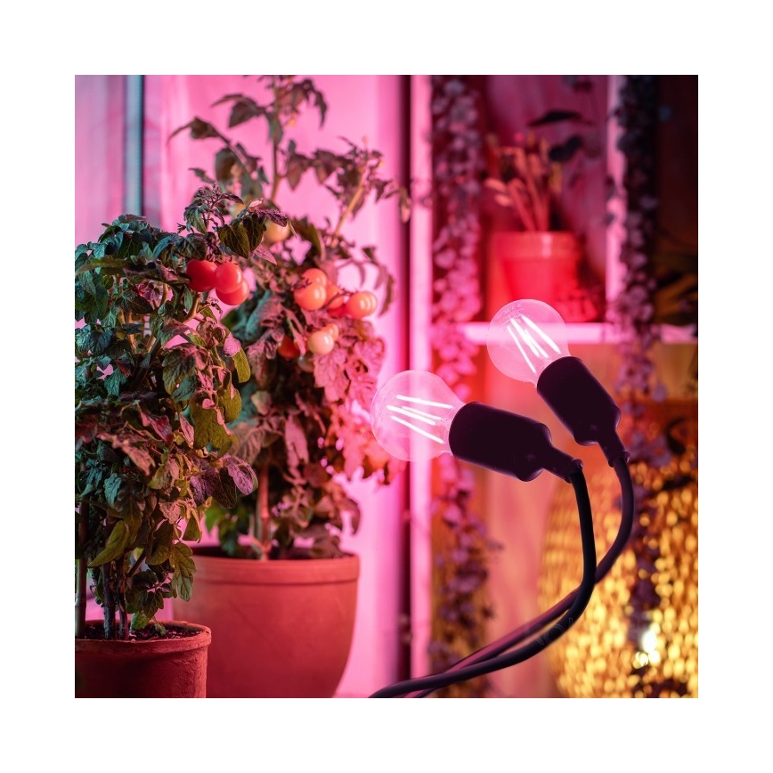 Elastyczna Lampa stołowa z klipsem do uprawy roślin PLANTY 2xE27/30W/230V czarna