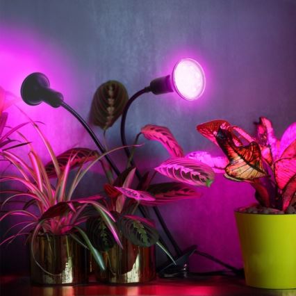 Elastyczna Lampa stołowa z klipsem do uprawy roślin PLANTY 2xE27/30W/230V czarna