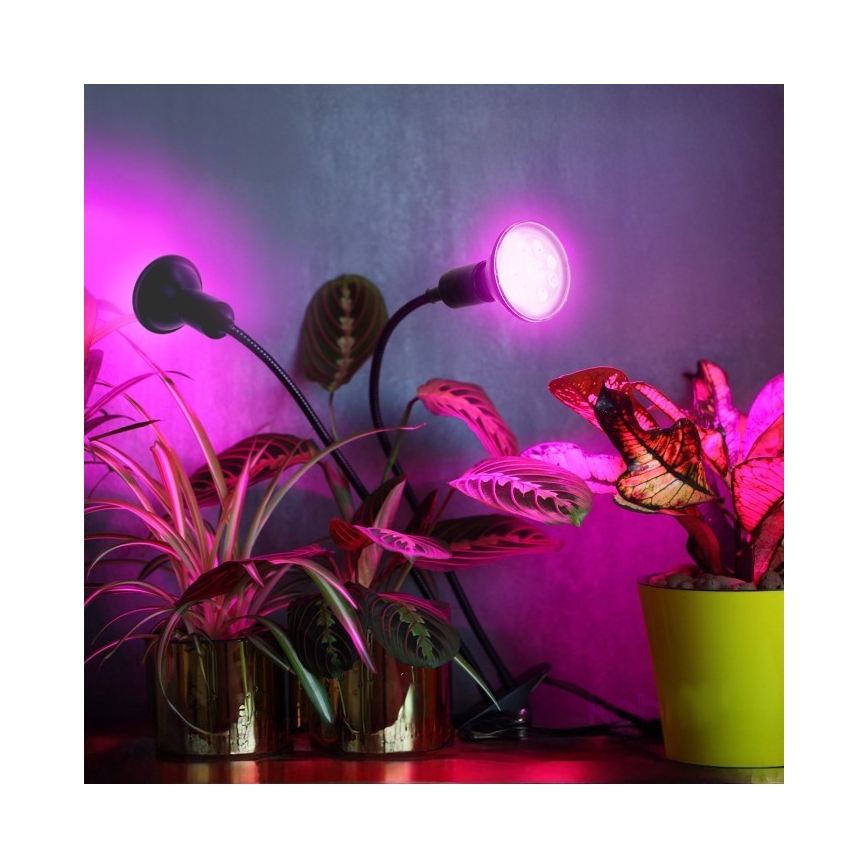 Elastyczna Lampa stołowa z klipsem do uprawy roślin PLANTY 2xE27/30W/230V czarna