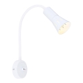 Elastyczna lampka ARENA 1xE14/40W/230V biała