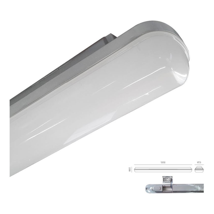 Emithor 31602 - LED Oświetlenie techniczne ELMINA LED/36W/230V IP65