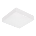 Emithor 63217 - Oprawa sufitowa LED SURFACE/20W/230V