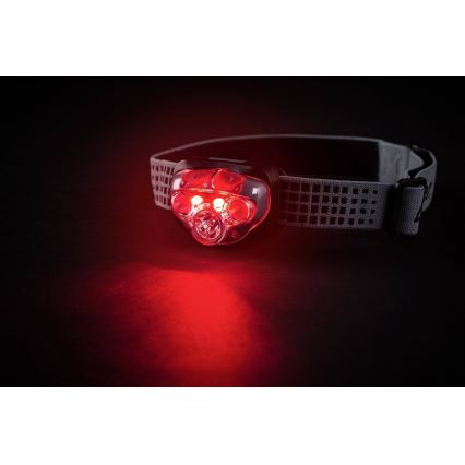Energizer - LED Czołówka z czerwonym światłem LED/3xAAA IPX4