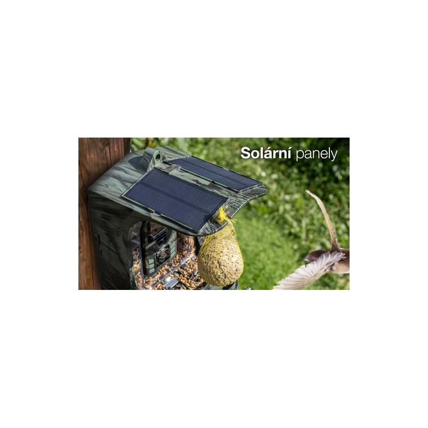 Evolveo - StrongVision BirdFeeder - inteligentny karmnik dla ptaków z kamerą i panelami słonecznymi