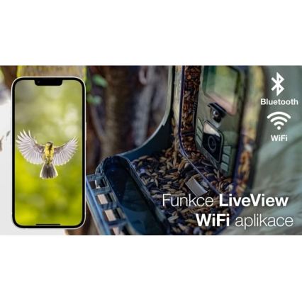 Evolveo - StrongVision BirdFeeder - inteligentny karmnik dla ptaków z kamerą i panelami słonecznymi